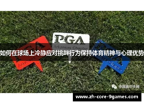 如何在球场上冷静应对挑衅行为保持体育精神与心理优势