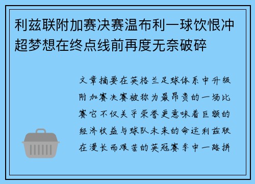 利兹联附加赛决赛温布利一球饮恨冲超梦想在终点线前再度无奈破碎